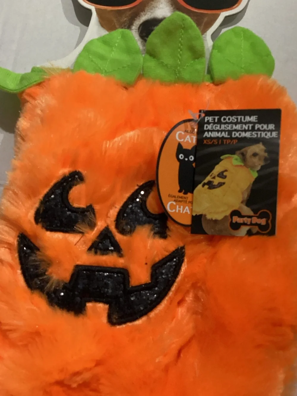 Plush Pumpkin Dog Costume - Orange